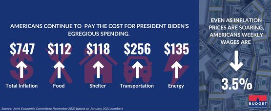 Image For American's Pay the Price for Biden's Spending